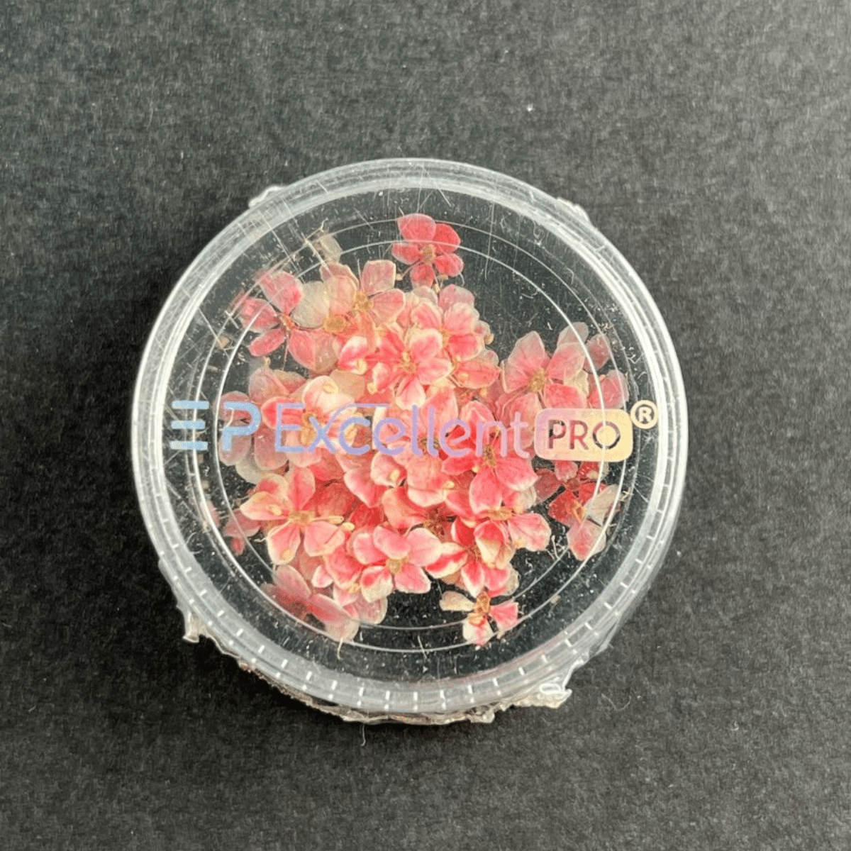 JustNails.pl JustNails EXCELLENT PRO Suszone kwiatki Deco Dry Flowers 001 50 szt.